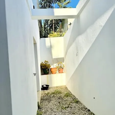 Appartement Renovated With Small Garden In Ajuda *